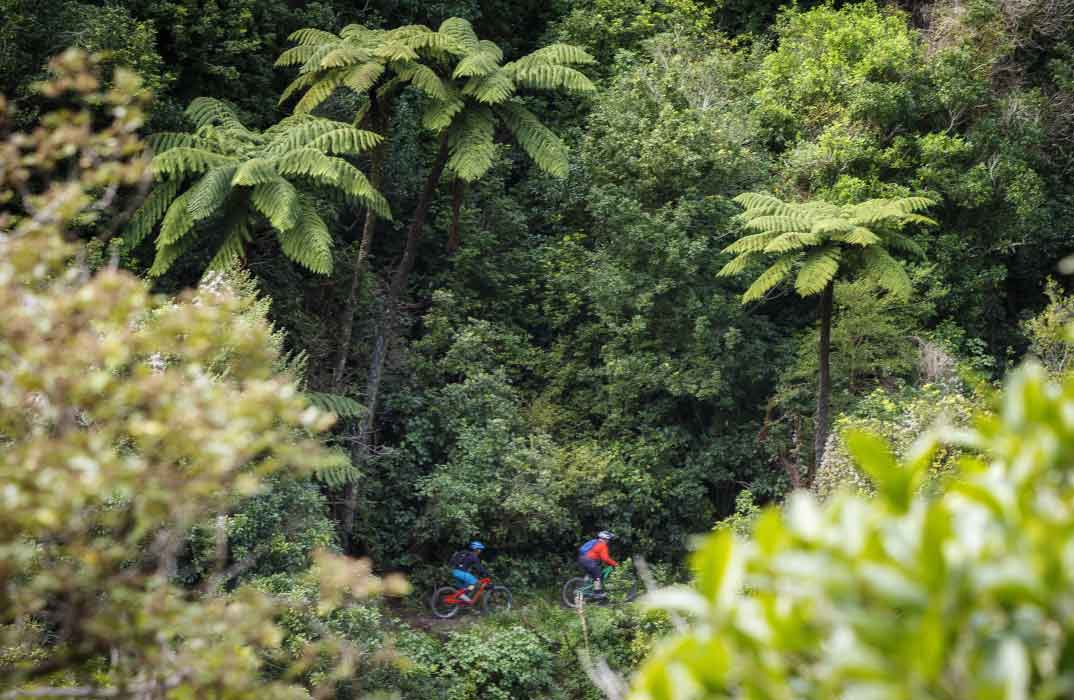 biking near Nelson