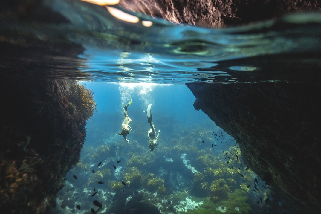 Poor Knights Islands snorkelling