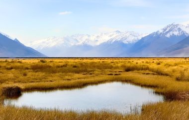 Arthurs Pass National Park