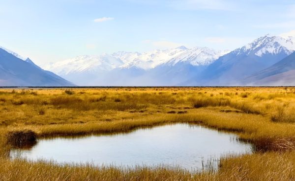Arthurs Pass National Park