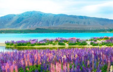 Tekapo