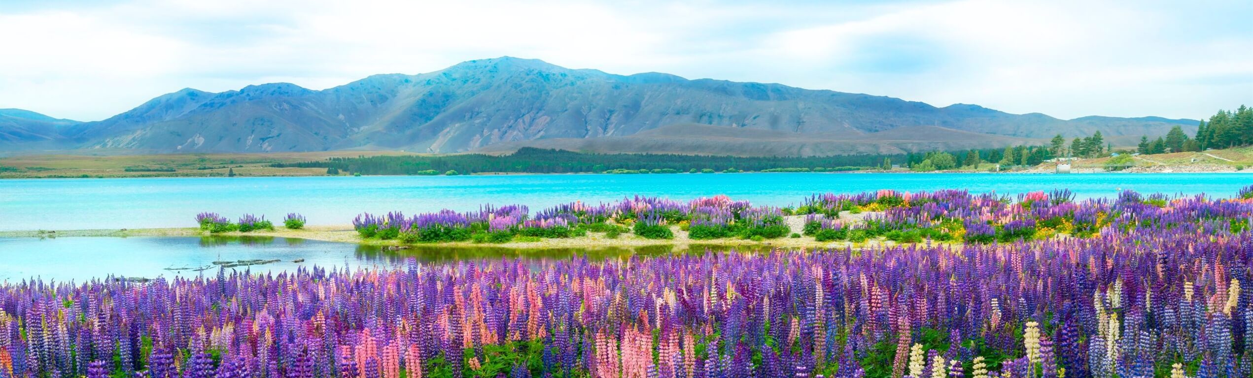 Tekapo
