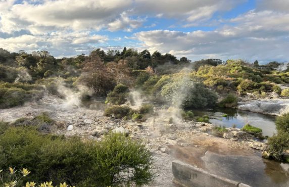 Rotorua Robert's customer review