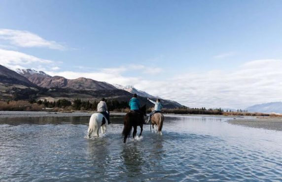 Credit: Glenorchy High Country Horses